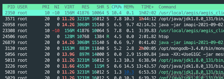 Linux-htop-process-information