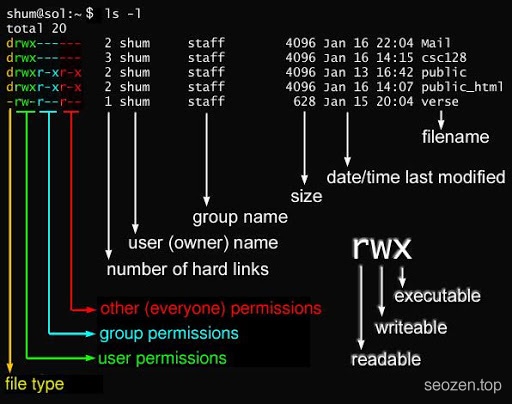 Linux文件权限