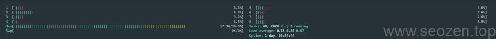 linux-htop-cpu-memory-usage