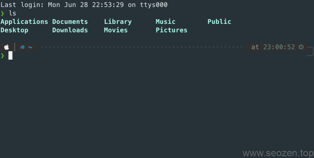 oh-my-zsh-theme-setup